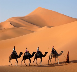 Morocco Desert tour from Casablanca | 7 Days